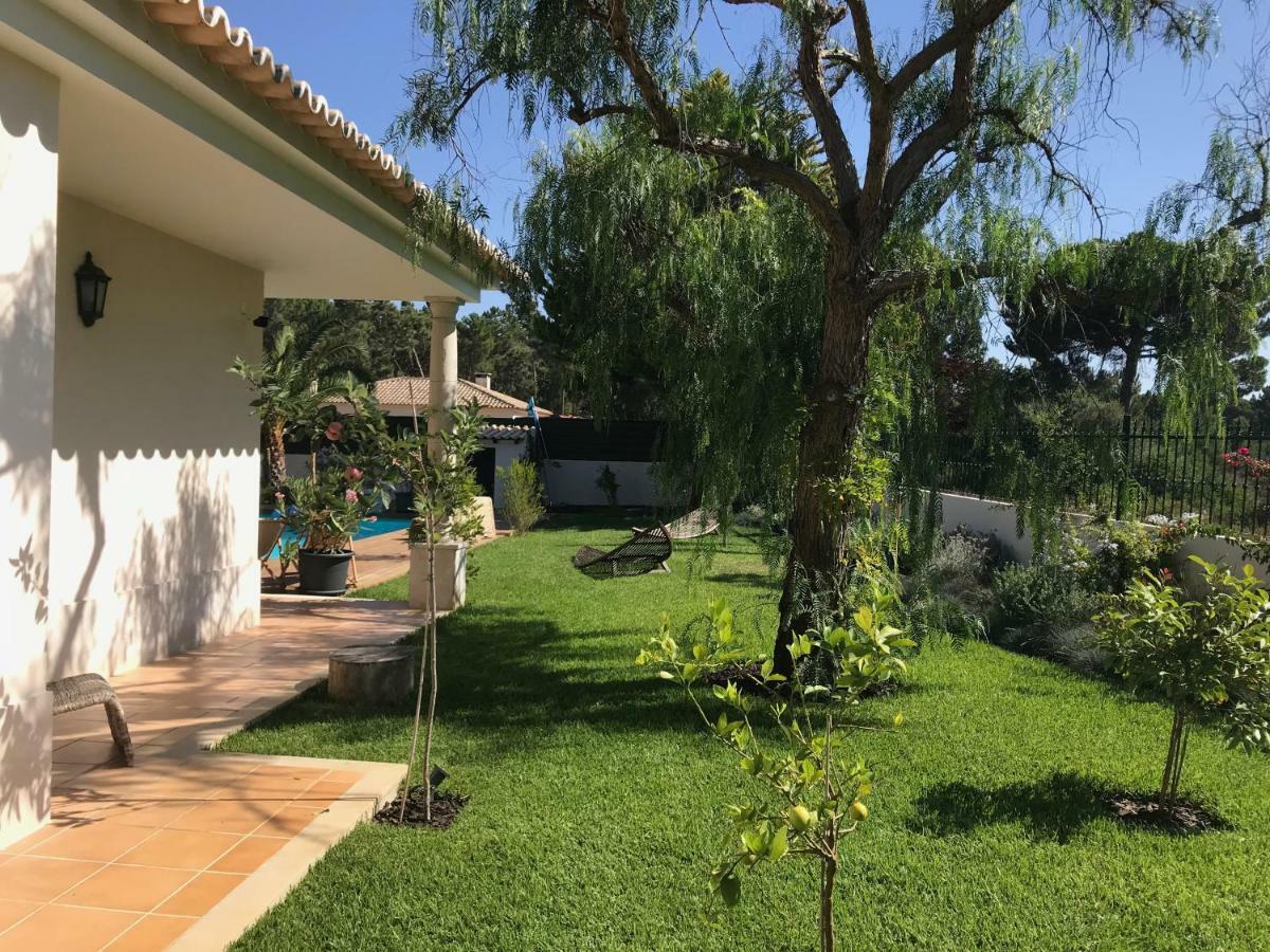 Buganvilias Do Meco Guest House Σεσίμπρα Εξωτερικό φωτογραφία